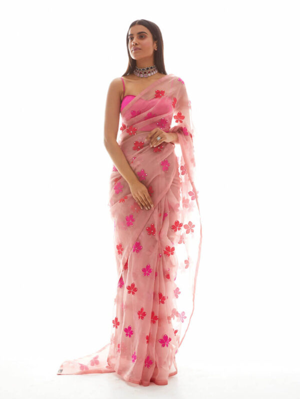 Vvani vats- LEAF APPLIQUE ORGANZA SAREE