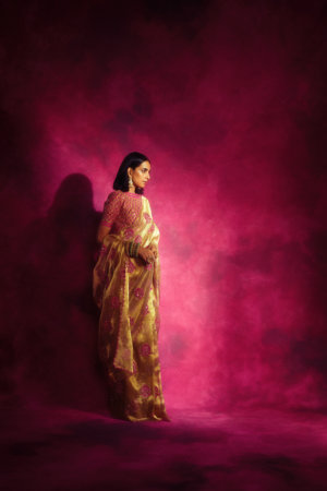 Vvani Vats- Mughal boota Gold Tissue Saree set - Image 2