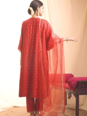 Priti Prashant - Aabha - Image 2