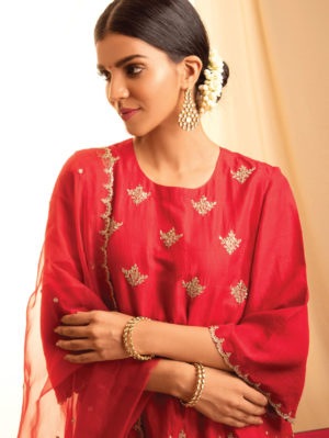 Priti Prashant - Aabha - Image 3