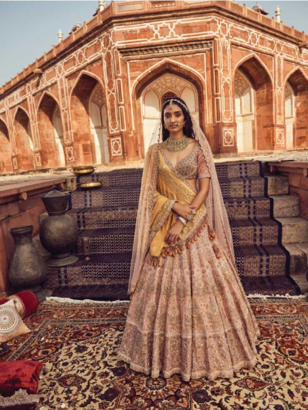 Payal Keyal - Blush Pink Lehenga