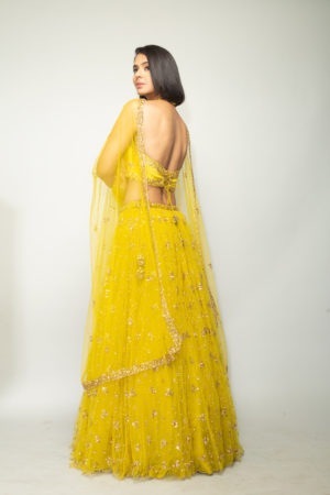 PREVASU - LIME LEHENGA - Image 2