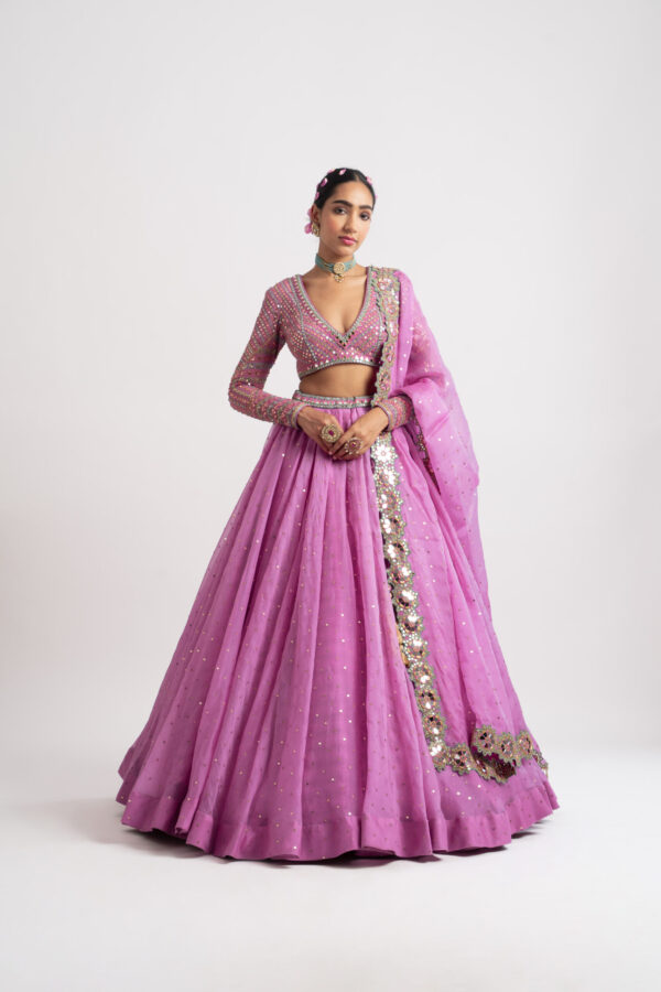 Vvani Vats Dark Blush Silk Organza Lehenga Set