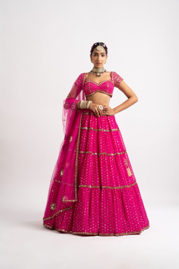Vvani Vats Fuschia Silk Organza Lehenga Set