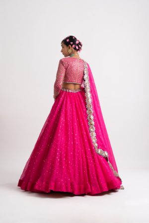 Vvani Vats Fuschia Silk Organza Lehenga Set - Image 4