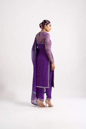 Vvani Vats Purple Multi Embroidery Round Neck Kurta Set - Image 4