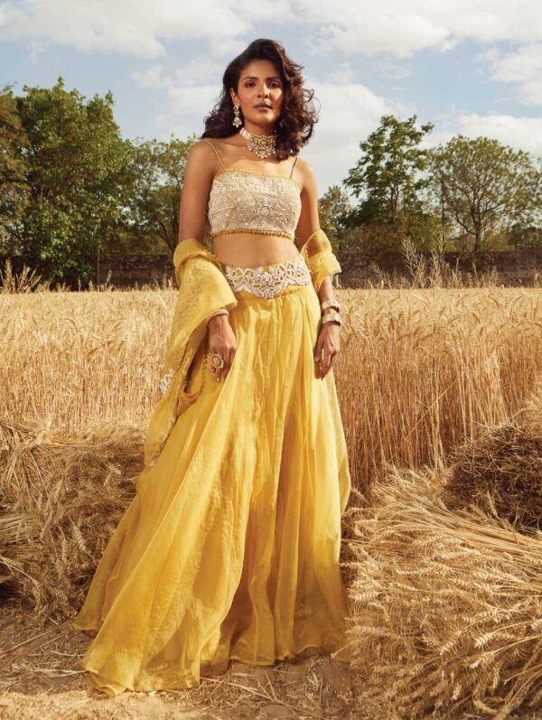 Ridhima Bhasin - Mustard Embroidered Lehenga Set