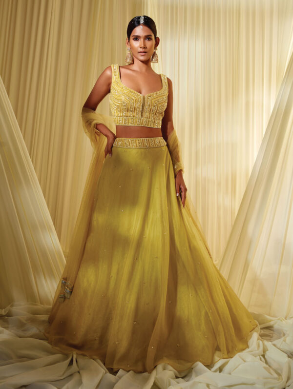 Disha Muchhala - LIME GREEN LEHENGA SET