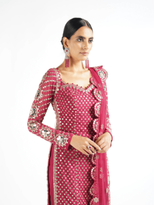 Vvani Vats Mellow Wine Sharara Set - Image 2