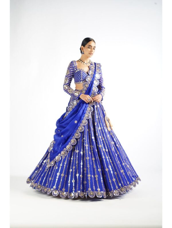 Vvani Vats Royal Blue Small Flower Linear Lehenga Set