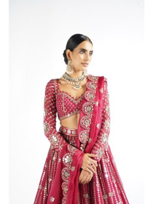 Vvani Vats Mellow Wine Small Flower Linear Lehenga Set - Image 3