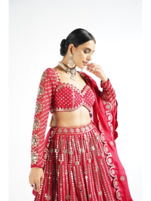 Vvani Vats Crimson Red Small Flower Linear Lehenga Set - Image 2