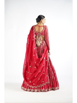 Vvani Vats Crimson Red Small Flower Linear Lehenga Set - Image 3