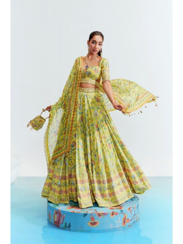 Mahima Mahajan - Embroidered  lehenga set