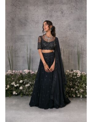 Pritika Vora - Mid blue lehenga set - Image 4