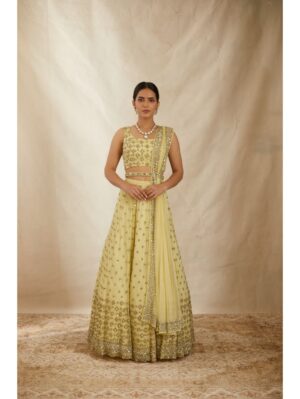 Astha Narang - Buy Sharara, Lehengas, Sarees, Kurtis Online 2023