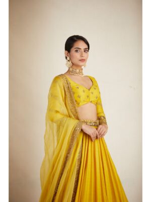 Astha Narang - MUSTARD YELLOW DOUBLE BORDER LEHENGA SET - Image 2