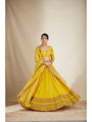 Astha Narang - MUSTARD YELLOW DOUBLE BORDER LEHENGA SET - Image 4