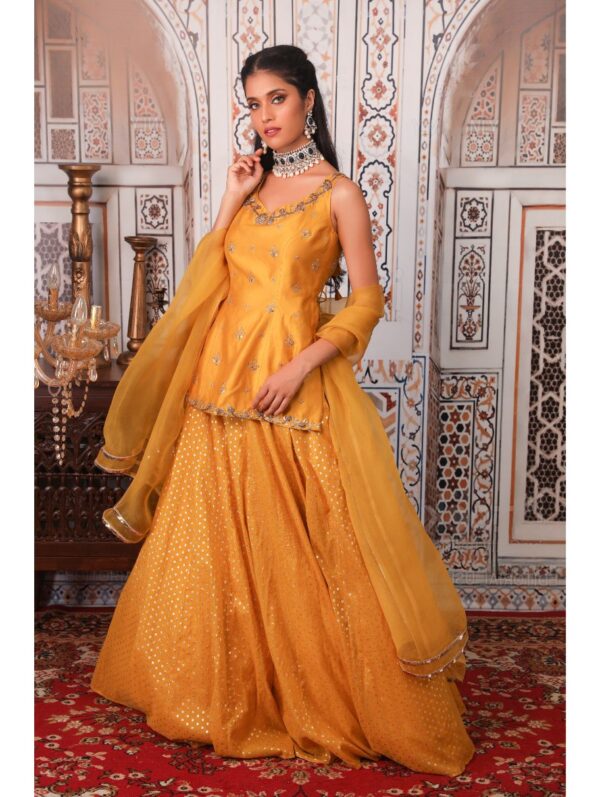 Esha Koul - Backless skirt set