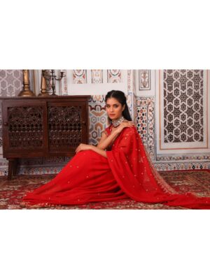 Esha Koul - Rust saree set - Image 5