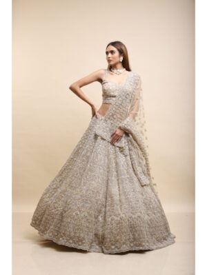 Kalighata - BEIGE ORGANZA HAND EMBELLISHED LEHENGA - Image 3