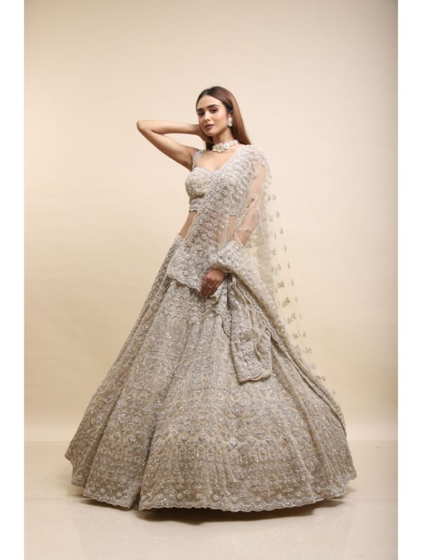 Kalighata - BEIGE ORGANZA HAND EMBELLISHED LEHENGA