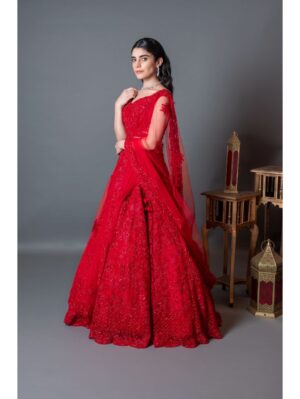 Kalighata - red heavily embroidered lehenga - Image 3