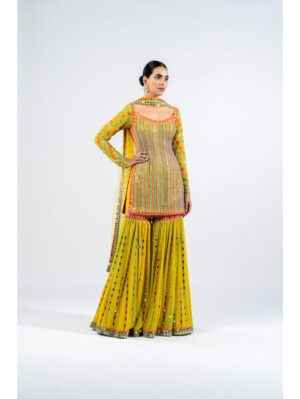 Vvani Vats - MULTI COLOR MOSS GREEN SHARARA SET - Image 3