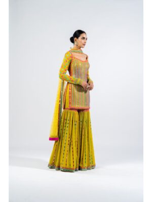 Vvani Vats - MULTI COLOR MOSS GREEN SHARARA SET - Image 4
