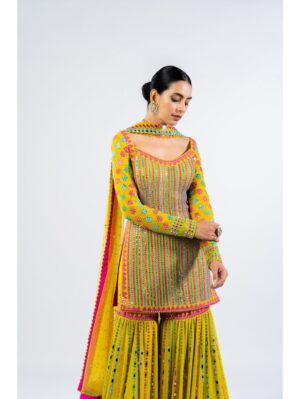 Vvani Vats - MULTI COLOR MOSS GREEN SHARARA SET - Image 5