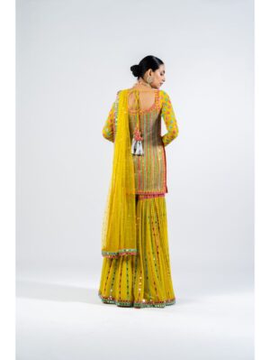 Vvani Vats - MULTI COLOR MOSS GREEN SHARARA SET - Image 6