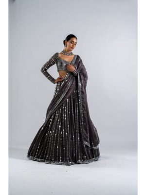 Vvani Vats -  CHARCOAL GREY  LINEAR DROP LEHENGA SET - Image 5