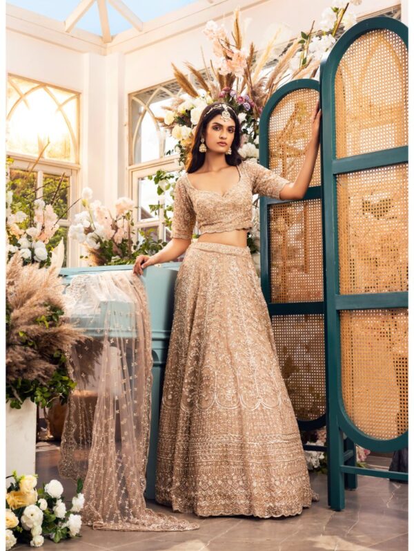Kalighata - gold organza hand embroidered lehenga