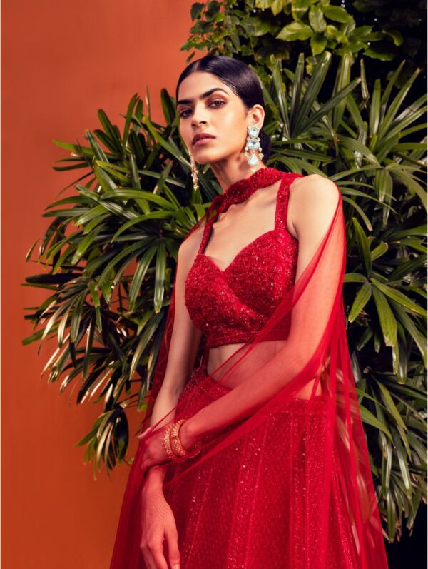 Kalighata - red heavily embellished lehenga