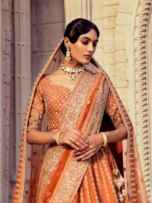Kalighata - Rust embellished lehenga - Image 3