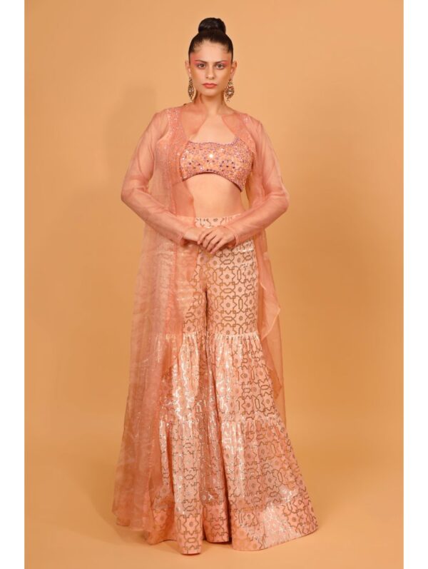 Neha Khullar- peach banarasi chanderi sharara with organza cape and blouse