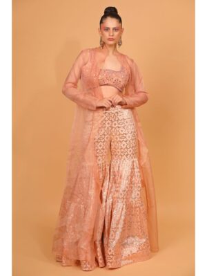 Neha Khullar- peach banarasi chanderi sharara with organza cape and blouse - Image 3