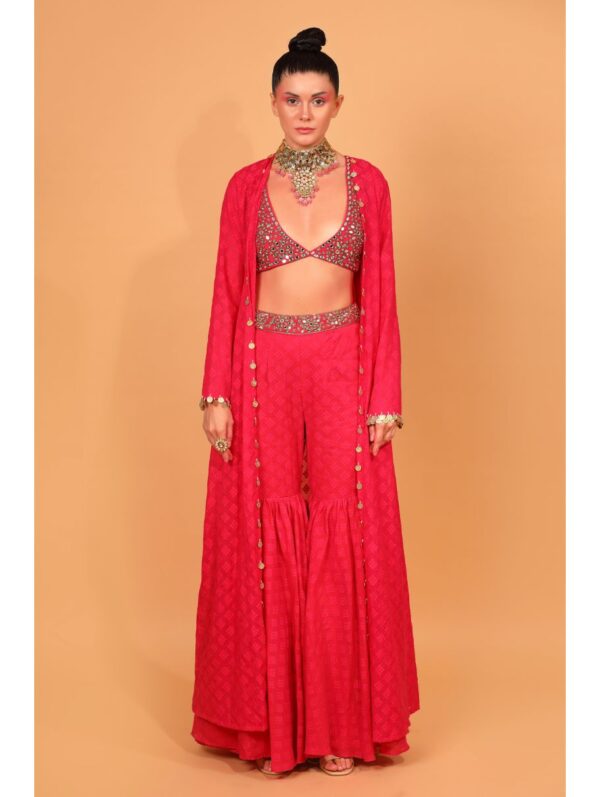 Neha Khullar- rani banarasi chanderi sharara with organza cape and blouse