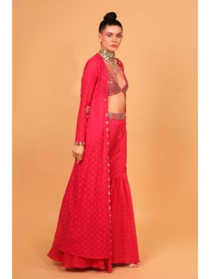 Neha Khullar- rani banarasi chanderi sharara with organza cape and blouse - Image 3