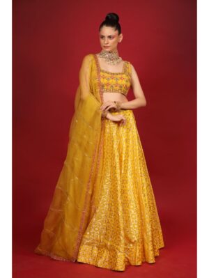 Neha Khullar- yellow banarasi chanderi lehenga set with organza dupattat and blouse - Image 2