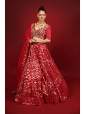 Neha Khullar- rani banarasi chanderi lehenga set with organza dupattat and blouse - Image 2