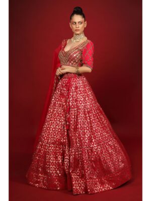 Neha Khullar- rani banarasi chanderi lehenga set with organza dupattat and blouse - Image 4