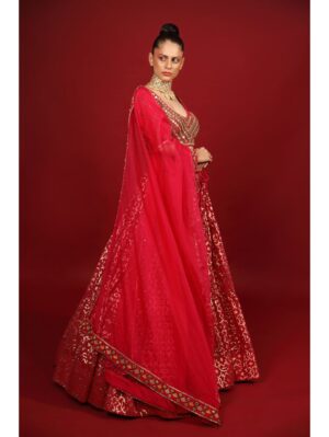 Neha Khullar- rani banarasi chanderi lehenga set with organza dupattat and blouse - Image 5