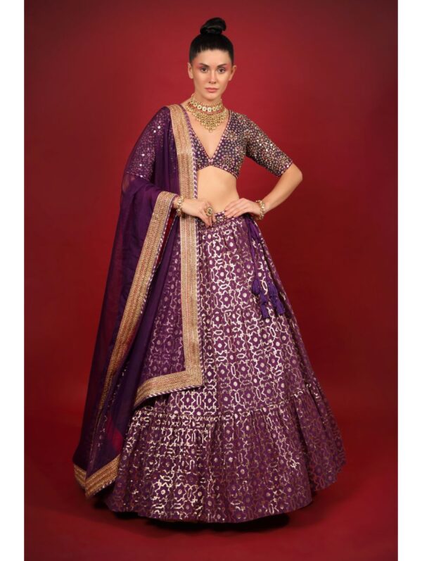 Neha Khullar- purple banarasi chanderi lehenga set with organza dupattat and blouse