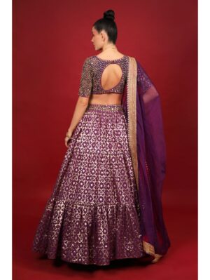 Neha Khullar- purple banarasi chanderi lehenga set with organza dupattat and blouse - Image 6
