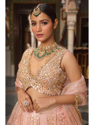Neha Khullar- BANARASI CHANDERI LEHENGA - Image 3