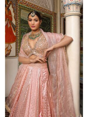 Neha Khullar- BANARASI CHANDERI LEHENGA - Image 4