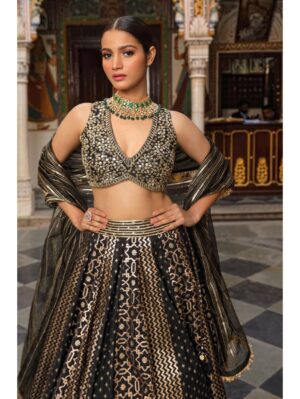 Neha Khullar- BANARASI CHANDERI LEHENGA - Image 3