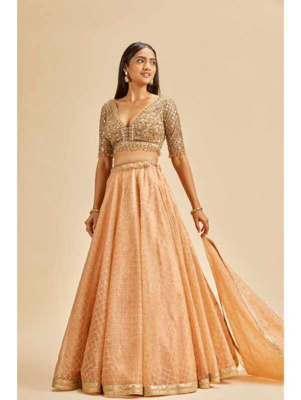 Nitika Gujral - PEACH ORGANZA LEHENGA WITH GOLD CHOLI
