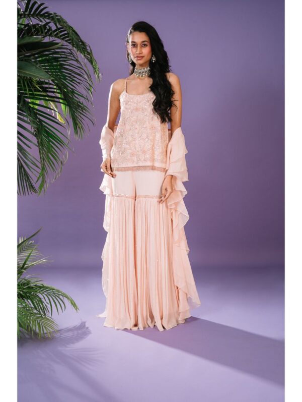 Pritika Vora - peach 3D hand embroidered Sharara set